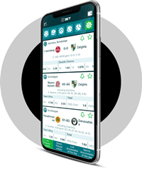 Imagen de la versión móvil